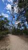 Fire lookout tower