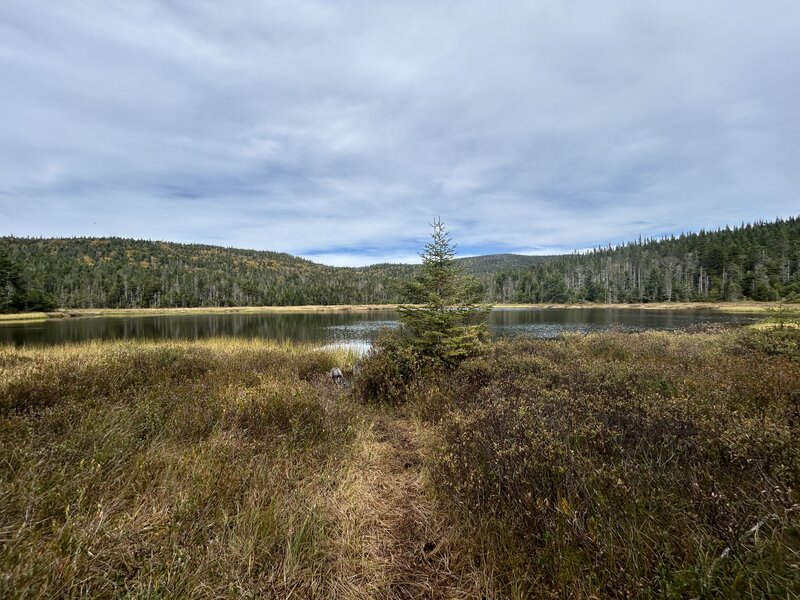 Arrival at cellar pond.