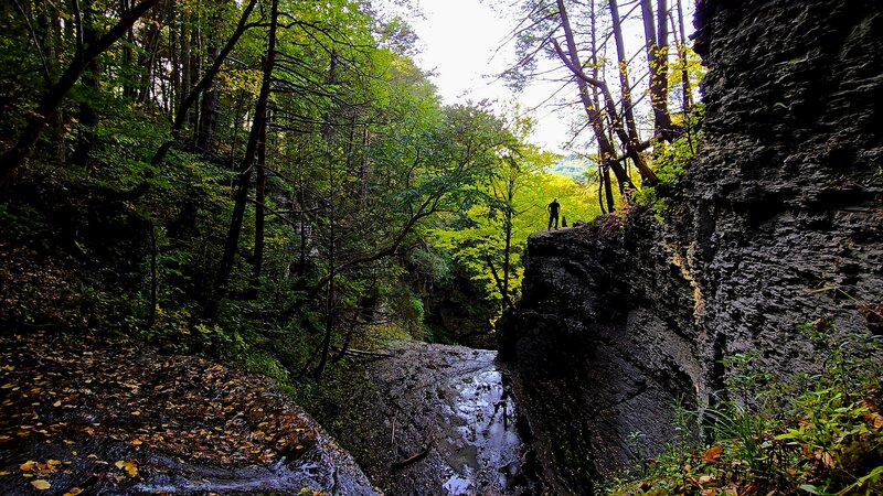 Lick Brook Falls Area