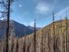 Rugged mountains of the Selkirk Crest (distant center) as Fisher Peak Trail climbs. Russell Mountain, 6,815 ft., and Russell Ridge (left) are nearby across the Trout Creek valley.