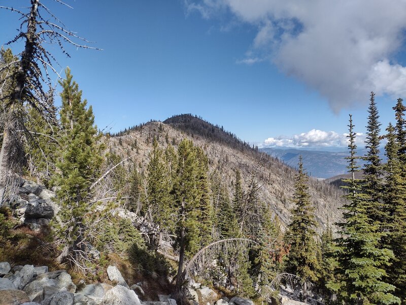 Fisher Peak, 7,586 ft. (center), is close by to the north. The Kootenai River valley (right) is in the distance below. Seen from high on Fisher Peak Trail.