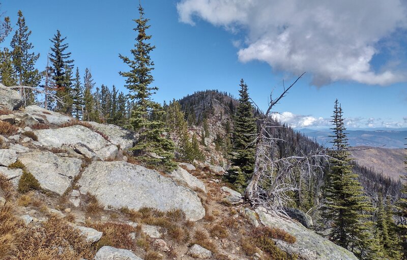 Fisher Peak, 7,586 ft. (center), is at the north end of a high ridge separating the Parker Creek valley and Trout Creek valley. Seen from the ridge's saddle just below Fisher Peak.