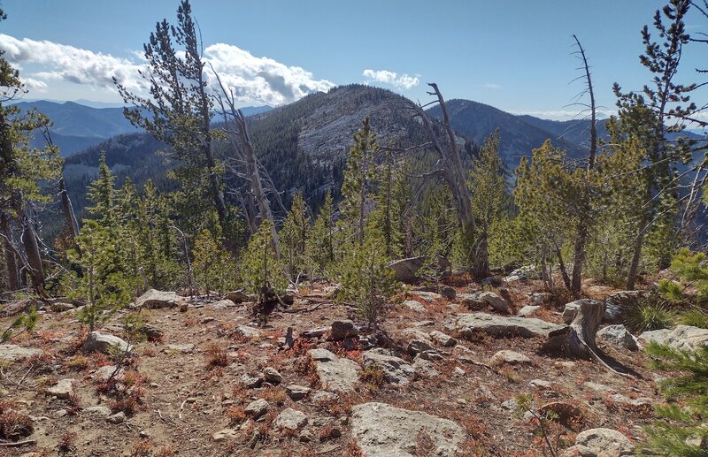 Fisher Ridge, the ridge separating the Trout and Parker Creek valleys runs southwest from the trail (lower left) on Fisher Peak, to an unamed high point (center), to the unnamed, highest point in northern Idaho, 7,710 ft. (center right), then behind it.