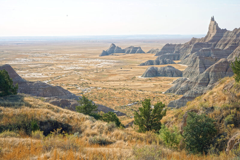 Deer Haven. The two dark spots are bison.