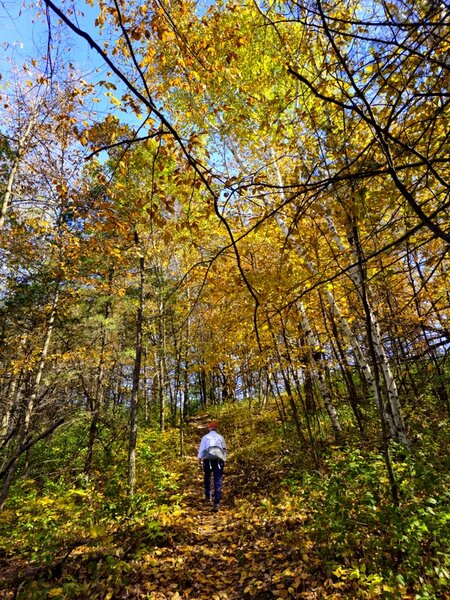 Climbing to the trail along the upper bluff.