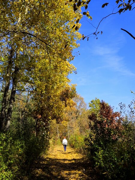 Fall color on the way back to the trailhead.