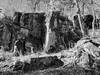 A basalt outcrop along the Chisago Loop.