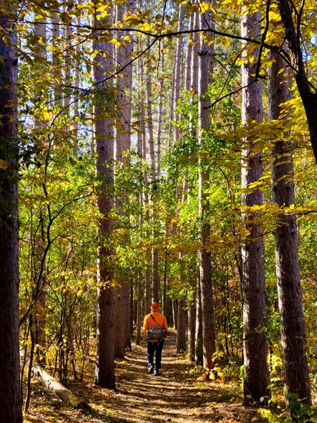 Staring on the loop under fall color.