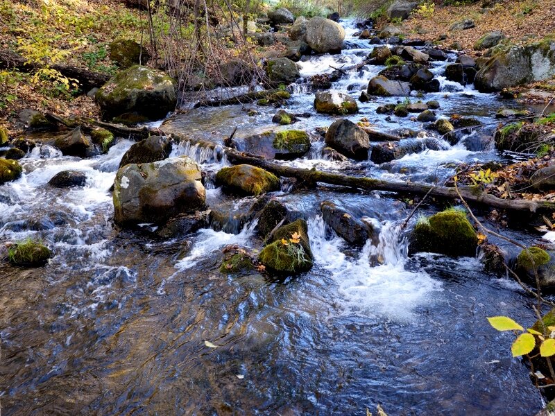 A cascade near the trail.