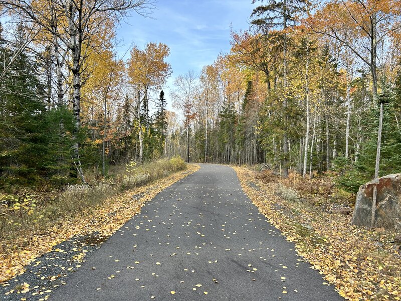 Paved trail, mostly flat, good for bikes and dogs allowed.