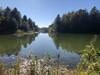 A view to the west from the back of the pond.