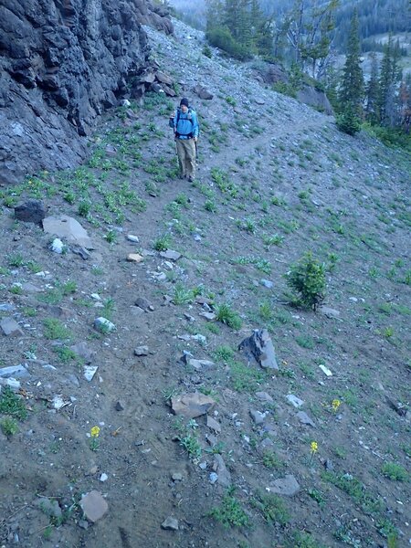 The trail between the campsite on Throp Creek and the prow of the ridge.