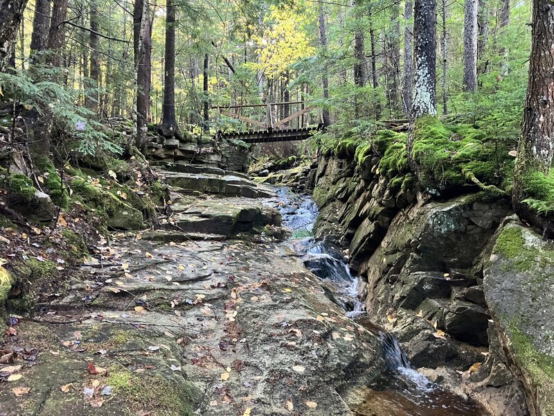 Bridge over Stony Brook gorge.