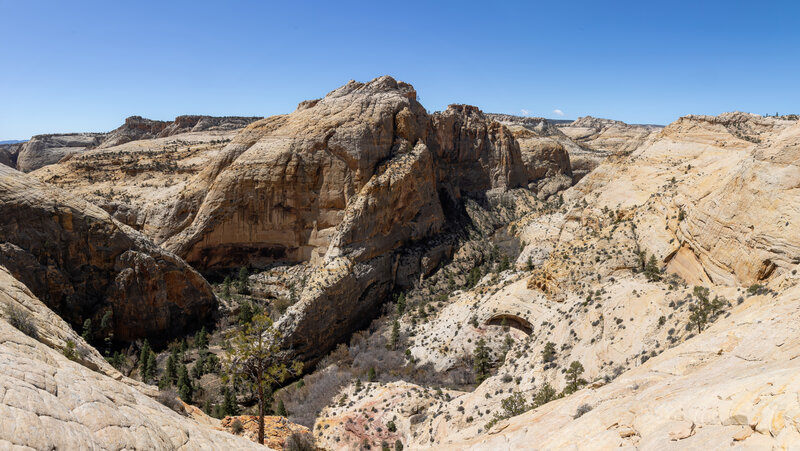 Panorama of Death Hollow.