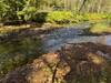 The trail runs along East Branch of Callicoon Creek.