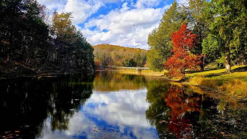 Olmstead Pond