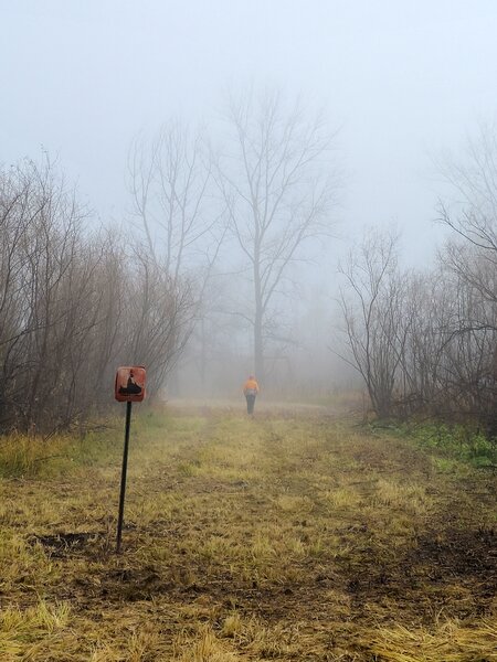 Approaching the northern end of the spur trail.