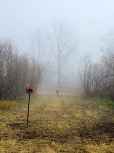 Approaching the northern end of the spur trail.