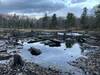 The view of the beaver pond, from the top of the dam.