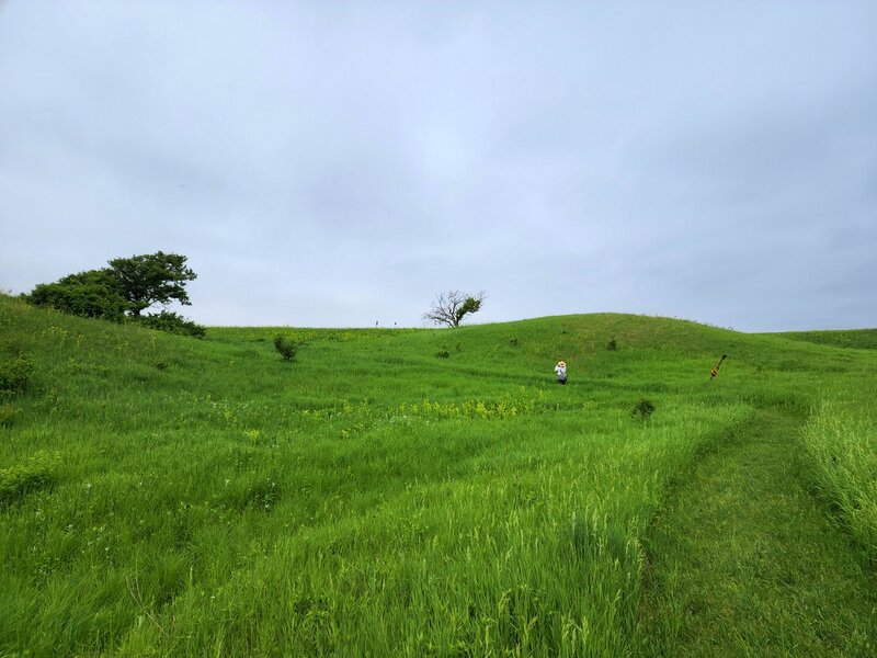 Crossing the prairie.