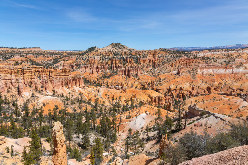 View from Fairylands Loop.