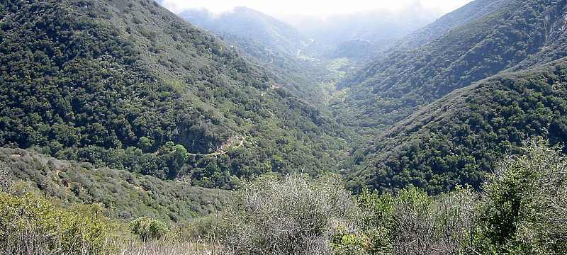 View down the valley from the trail summit.