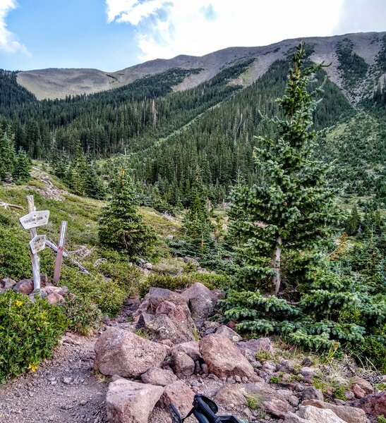 The top of Abineau Trail where is meets waterline.