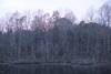 The pond at sunset in the fall with the wooden boardwalk winding through the trees.