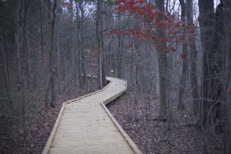 The new boardwalk winds through the woods.