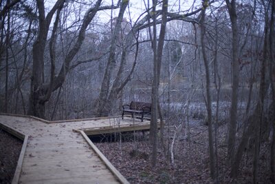 There are several benches along the trail where you can take a break and enjoy the woods and pond.