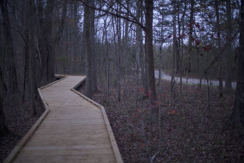 As the trail makes its way around the pond, it comes close to the Mammoth Cave Railroad hiking and biking trail.