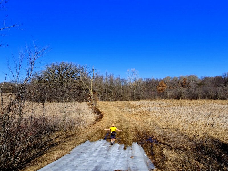 A marsh along the Upper Ironwood Trail in the spring.