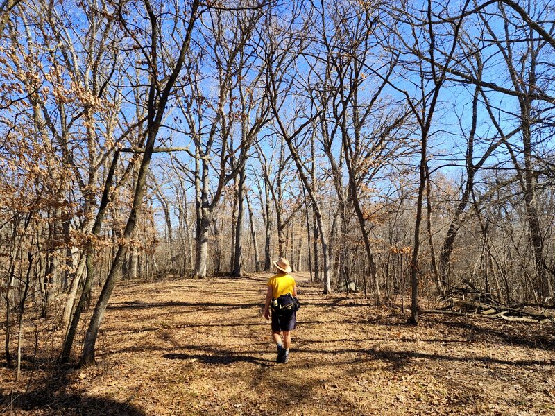 Spring weather along the Lakeside Trail.