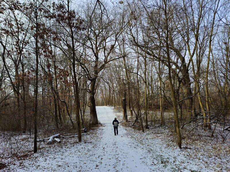 Along the Lakeside Trail in early winter.