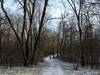 Going north on the Lakeside Trail in early winter.