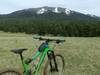 Looking up and San Francisco Peaks from Bismark Lake.