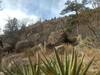 The dry landscape on lower Fatmans Loop.