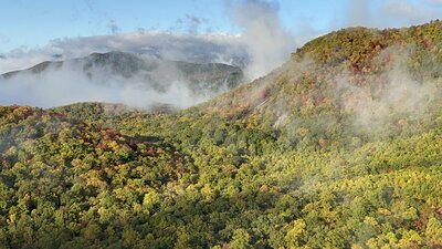 Fog burning off on a Fall morning along Pilot Cove Trail.