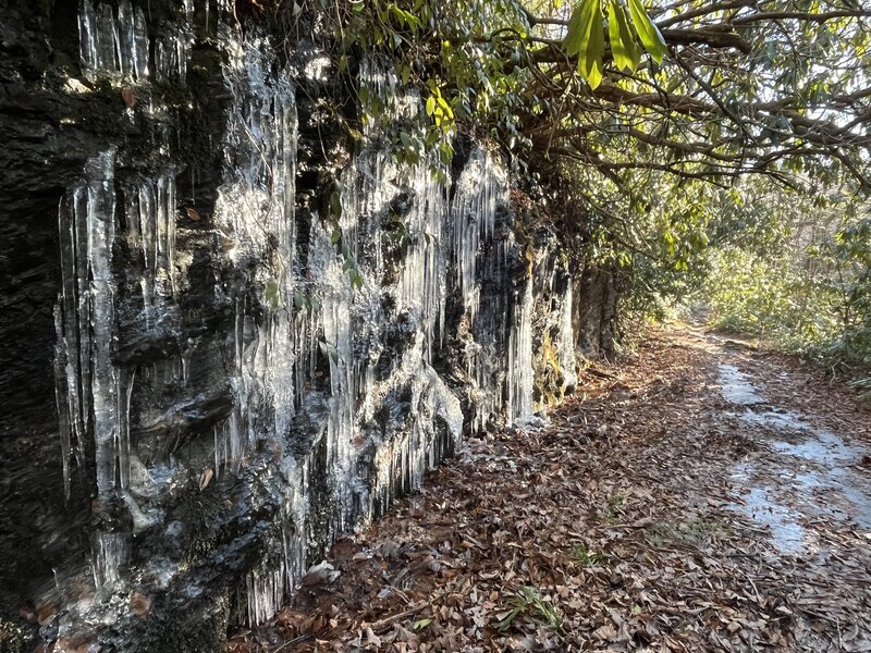 Wall of icicles on an early winter day beside the South Mills River Trail