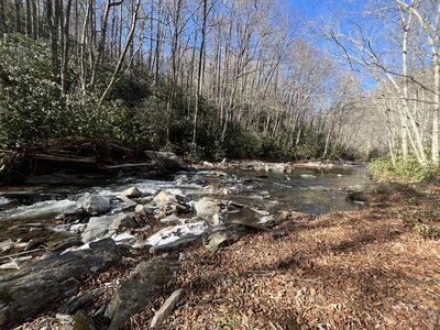 One of many wide, unbridged creek crossings on the South Mills River Trail.