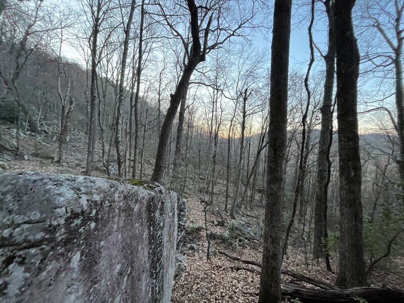 Early morning on the trail.