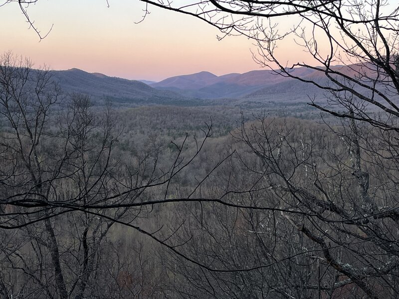 View through the defoliated trees along the trail.