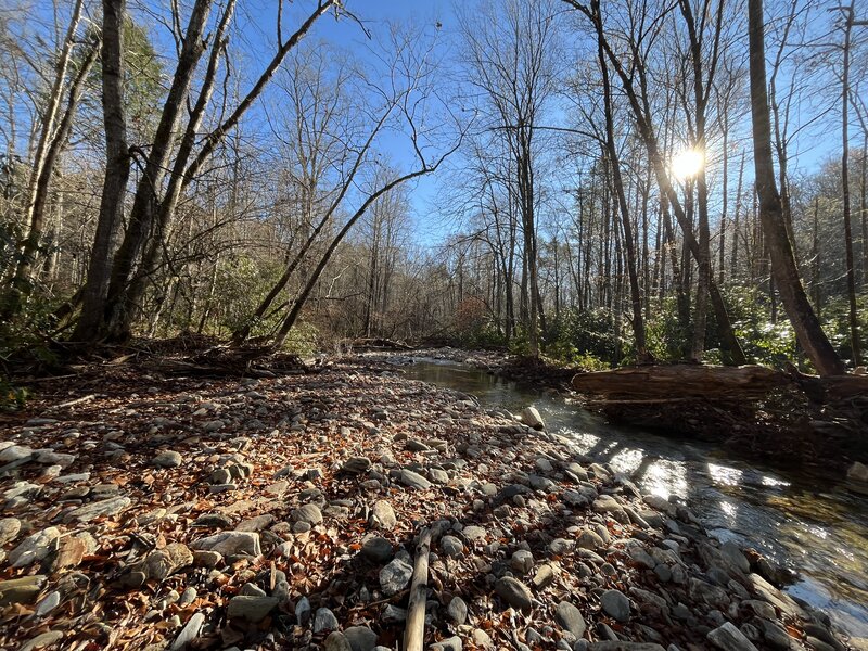 Laurel Creek Trail as it negotiates a ford of Bradley Creek near the terminus with the Bradley Creek Trail.