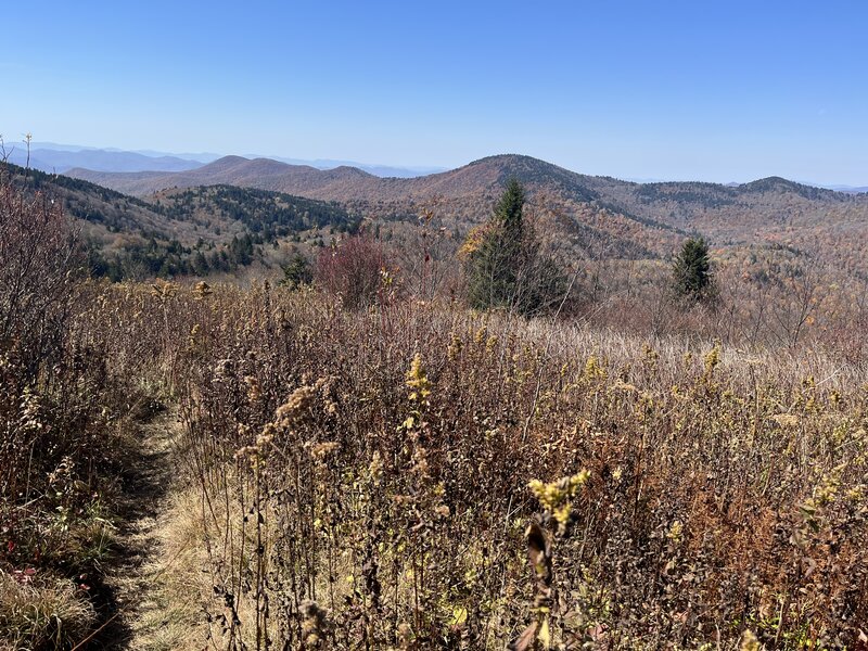 The top of the Green Mountain Trail traverses Fork Ridge Meadow with gorgeous views of the surrounding high mountains