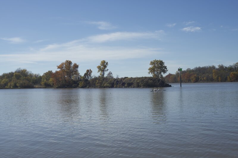 Pelicans and other birds rest at the confluence of the Arkansas and Poteau Rivers.