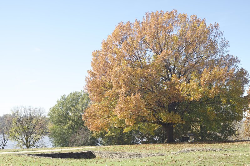 The remains of the first Fort Smith can be seen along this trail.  From this point, you get a nice view of the Arkansas River.