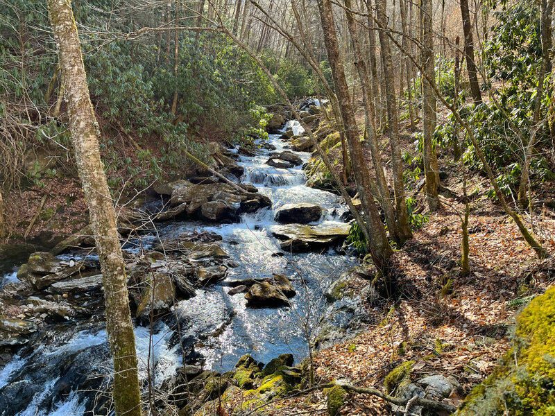 Haywood Gap Trail as it skirts alongside its namesake stream on a cold winter day