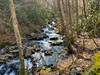 Haywood Gap Trail as it skirts alongside its namesake stream on a cold winter day