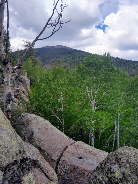 Volcanic geologic features on Kachina Trail.