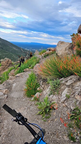 Lower Brookbank trail looking south over Flagstaff.